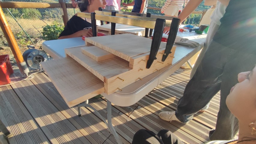 Unos gatos de carpintero presionan los tableros de las cajas nido de murcielagos