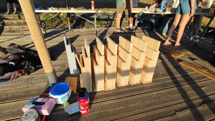 Varias cajas nido de murcielagos colocadas en fila